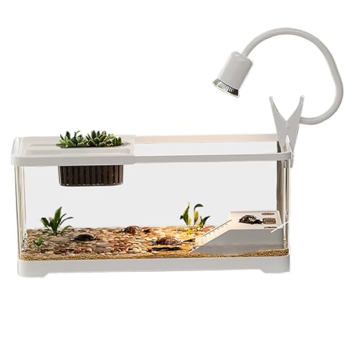 Fischtank 15x8x8 Zoll Clear Plastic Turtle Tank Habitat Kit mit Kletterplattformen und Licht für Schildkröten und Wassertiere von Porgeel