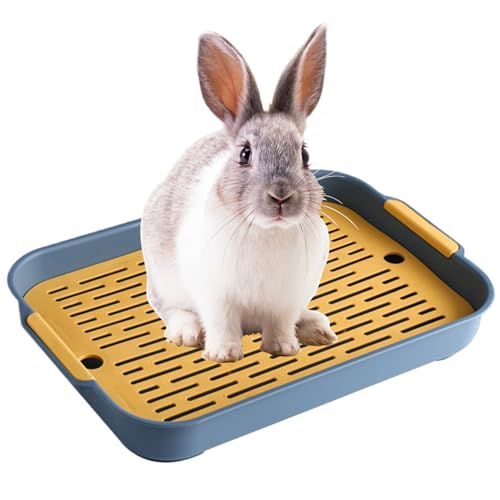 Kaninchendrüsenbox 2 Tier Rabbit Müllbox Plastik Rechteckige Hasen Pier Toilette 7.3x10.6x1,3 Zoll Töpfchen -Trainer Bettwäsche -Box Kaninchendrüsenbox 2 Tier Rabbit Müllbox Plastik Rechteckige Hasen Pier Toilette 7.3x10.6x1,3 Zoll Töpfchen -Trainer Bettwäsche -Box von Porgeel