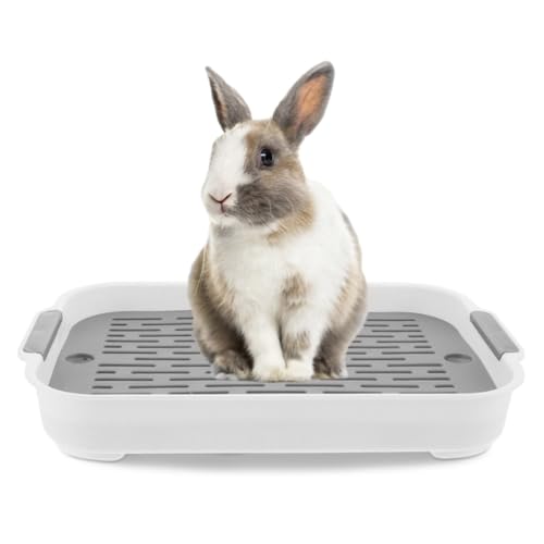Kaninchenstrauder Tablett 2 Tier Kaninchendrüsenbox Plastik Rechteckige Hasen Haustier Toilette 7.3x10.6x1,3 Zoll Töpfchen -Trainer Bettwäsche -Box für Meerschweinchen -Hasenfrettchen Hamster Igel Ig von Porgeel
