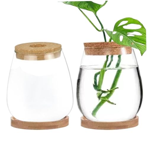 Plant Terrarium 2 pcs Transparent Deckel Plant Propagation Station mit Tray Hydroponic DIY Propagation Gläser für Home Office Desktop Drop förmiger von Porgeel