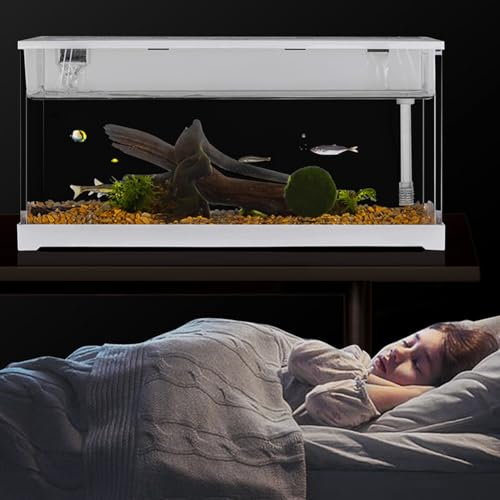 Aquarium Komplett Set - Fischtank Aquarium mit LED-Leuchten & Stille Pumpe & Wasserzyklus & Filterung - Aquaristik Tischdekoration für Zuhause, Büro, Wohnzimmer - Fischzuchtbox 37.9x14.4x18.2cm Aquarium Komplett Set - Fischtank Aquarium mit LED-Leuchten & Stille Pumpe & Wasserzyklus & Filterung - Aquaristik Tischdekoration für Zuhause, Büro, Wohnzimmer - Fischzuchtbox 37.9x14.4x18.2cm von PortoAlegre
