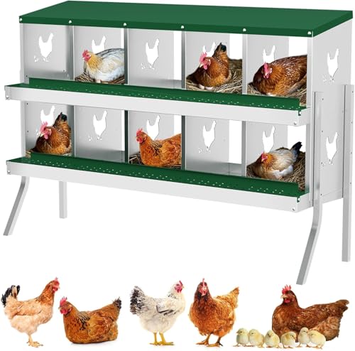 Hühner Legenester 10 Abteile aus Verzinktem Stahl - Legenester für Hühner mit Eierfach - Hühnernest Legebox Abrollnest mit Standbeine - Stabiler & Korrosionsbeständiger - 136 * 43 * 90 - Grün von PortoAlegre