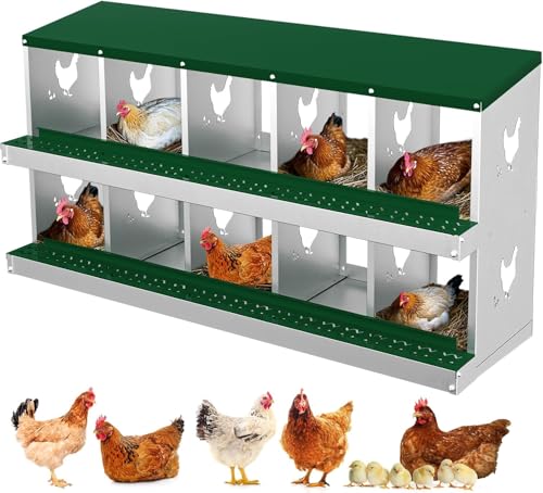 Legenester für Hühner 10 Abteile, Hühner Legenest mit Auffangschale & Lüftungsgitter, Hühnernest Abrollnest für Wandmontage Leichte Reinigung, 136 * 43 * 67cm für Verschiedene Hühnerrassen, Grün von PortoAlegre