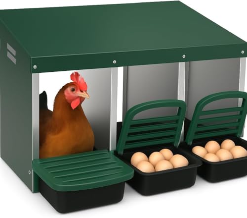 Legenester für Hühner 3 Abteile - Hühner Legenest mit Auffangschale & Lüftungsgitter - Hühnernest Abrollnest für Wandmontage Leichte Reinigung - 80 x 52 x 47cm für Verschiedene Hühnerrassen - Grün von PortoAlegre