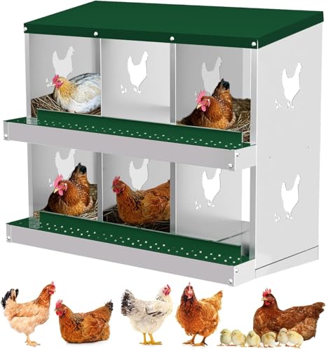 Legenester für Hühner 6 Abteile, Hühner Legenest mit Auffangschale & Lüftungsgitter, Hühnernest Abrollnest für Wandmontage Leichte Reinigung, 81 * 43 * 90cm für Verschiedene Hühnerrassen, Grün von PortoAlegre