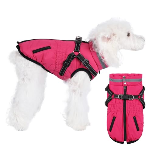 Poseca Hundemäntel mit Geschirr, warmer Hundemantel, reflektierend, Winter-Hundemäntel für kleine Hunde, verstellbare Hundejacke, Weste, kaltes Wetter, Mäntel für kleine, mittelgroße Hunde Poseca Hundemäntel mit Geschirr, warmer Hundemantel, reflektierend, Winter-Hundemäntel für kleine Hunde, verstellbare Hundejacke, Weste, kaltes Wetter, Mäntel für kleine, mittelgroße Hunde von Poseca