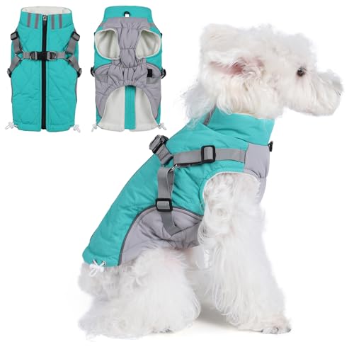 Poseca Hundemantel - wasserdichte Winterjacke mit integriertem Geschirr für kleine bis große Hunde (Grün, XXL) Poseca Hundemantel - wasserdichte Winterjacke mit integriertem Geschirr für kleine bis große Hunde (Grün, XXL) von Poseca