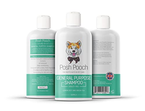 Allzweck-Shampoo und Haarspülung für Hunde, Zitronenschale, Teeblätter, Aloe Vera, feuchtigkeitsspendend, pflanzliche Formel von Posh Pooch