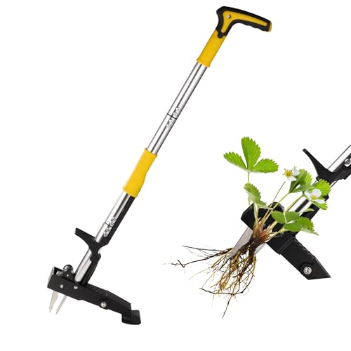 Poskena Unkrautstecher,Unkrautstecher mit 4 Stahlklauen und Klappbarer Fußstütze,Unkraut Entferner Gerät Länge:105 cm, Gartenwerkzeug zur Effektiven Unkrautbeseitigung Poskena Unkrautstecher,Unkrautstecher mit 4 Stahlklauen und Klappbarer Fußstütze,Unkraut Entferner Gerät Länge:105 cm, Gartenwerkzeug zur Effektiven Unkrautbeseitigung von Poskena