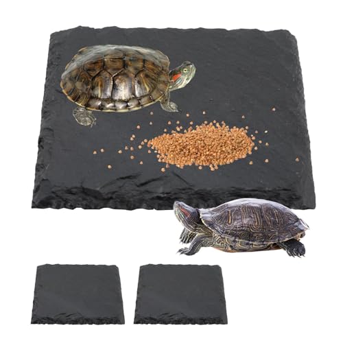 2 Stück Schildkröten-Schiefer-Pad, Schildkröten-Sonnenplattform, Aquarium, Schieferschildkröte, Baden-Ruheplattform, Reptilien-Lebensraum-Zubehör für Futterschale, Ruheplattform, Dekoration (schwarz) 2 Stück Schildkröten-Schiefer-Pad, Schildkröten-Sonnenplattform, Aquarium, Schieferschildkröte, Baden-Ruheplattform, Reptilien-Lebensraum-Zubehör für Futterschale, Ruheplattform, Dekoration (schwarz) von PosyLane