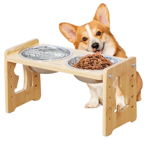 Erhöhter Hundenapf, spülmaschinenfest, rutschfest, erhöht, wiederverwendbar, abnehmbare Futterstation für kleine, mittelgroße und große Welpen, Kätzchen, Katzen, Tiere Erhöhter Hundenapf, spülmaschinenfest, rutschfest, erhöht, wiederverwendbar, abnehmbare Futterstation für kleine, mittelgroße und große Welpen, Kätzchen, Katzen, Tiere von Poupangke