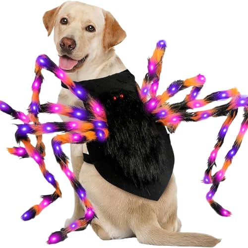 Hundekostüm, Festliches Dekorations Cosplay Kostüm Für Haustiere, Beleuchtete Festliche Accessoires Für Fotos Und Veranstaltungen Von Haustieren Hundekostüm, Festliches Dekorations Cosplay Kostüm Für Haustiere, Beleuchtete Festliche Accessoires Für Fotos Und Veranstaltungen Von Haustieren von Poupangke