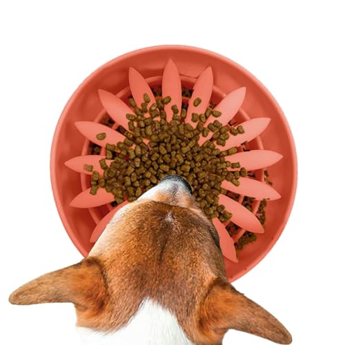 Poupangke Futternapf für langsames Fressen, Futternapf für langsames Fressen, Hundenapf, rutschfester Futternapf für gesunde Ernährung Poupangke Futternapf für langsames Fressen, Futternapf für langsames Fressen, Hundenapf, rutschfester Futternapf für gesunde Ernährung von Poupangke