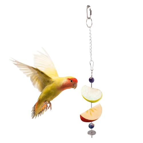 Poupangke Vogelkäfig Futterspender Vogelfutterspender Futterhalter Sittich Futterspender Futterspender Kleintier Futterspender Futterspender Futtersuche Spielzeug Spieß Poupangke Vogelkäfig Futterspender Vogelfutterspender Futterhalter Sittich Futterspender Futterspender Kleintier Futterspender Futterspender Futtersuche Spielzeug Spieß von Poupangke