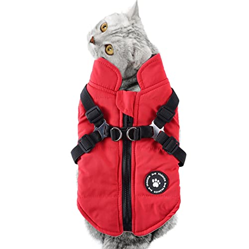 Hunde-Kälte-Mantel | Gemütliche Winddichte wasserdichte Winterjacke für Hunde, warme Dicke gepolsterte Weste für kleine Hunde und Povanjer von Povanjer