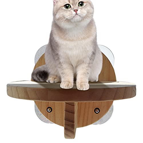 Katzenwandmöbel,Katzenklettergeräte aus Holz für Wohnungskatzen - Katzenzubehör für Wohnungskatzen mit Saugscheibe von Povanjer
