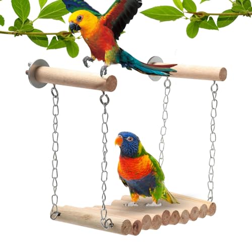 Papageienschaukel | Kolibristange aus Naturholz | Spielzeug für kleine Vögel für Wellensittiche, Nymphensittiche Povanjer von Povanjer