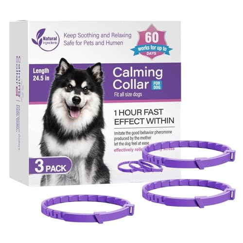 Beruhigendes Halsband für Hunde, Pheromon-Halsbänder, lindert schlechtes Verhalten, hält 60 , beruhigendes Hundehalsband für alle kleinen, mittleren und großen Hunde Beruhigendes Halsband für Hunde, Pheromon-Halsbänder, lindert schlechtes Verhalten, hält 60 , beruhigendes Hundehalsband für alle kleinen, mittleren und großen Hunde von Povanjer