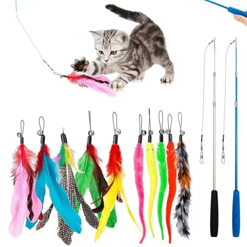 Povanjer Caterpillar Wand Katzenspielzeug, interaktives Katzenspielzeug - Interaktiver Fisch-Teaser mit Glocke,Katzenstab, Spielzeug, Katzenfänger, Teaser-Stick für Katzen, Kätzchen Povanjer Caterpillar Wand Katzenspielzeug, interaktives Katzenspielzeug - Interaktiver Fisch-Teaser mit Glocke,Katzenstab, Spielzeug, Katzenfänger, Teaser-Stick für Katzen, Kätzchen von Povanjer
