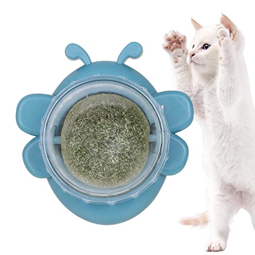Povanjer Katzengraskugeln für Katzenwand | Katzenbissspielzeug in Bienenform | gesunde organische Katze Nips | 360° drehbares Spielzeug für Katzenbiss, essbares Spielzeug von Povanjer