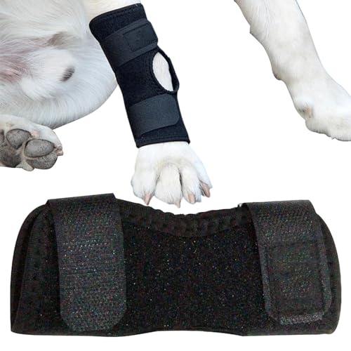 Kniebandage für Hunde, Rückenbeinstütze für Hunde, Beinmanschette für Hunde | Gelenkkompression, Kniebandage gegen Lecken, Schiene Kniebandage für Hunde, Rückenbeinstütze für Hunde, Beinmanschette für Hunde | Gelenkkompression, Kniebandage gegen Lecken, Schiene von Povanjer