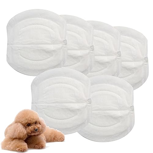 Menstruationspads für weibliche Hunde, 30 saugfähige Pads für weibliche Hunde, Pads für männliche Hunde, hygienische Höschen zum Einwickeln von Welpen Menstruationspads für weibliche Hunde, 30 saugfähige Pads für weibliche Hunde, Pads für männliche Hunde, hygienische Höschen zum Einwickeln von Welpen von Povanjer