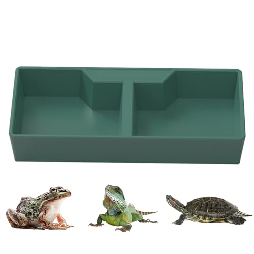 Reptilien-Futternapf – 2 Gitter Dunkelgrün Reptilien Futter- und Wassernapf – Terrarienschalen für , , Gecko, Chamäleon, Haustiere, Lebensraumdekoration von Povanjer