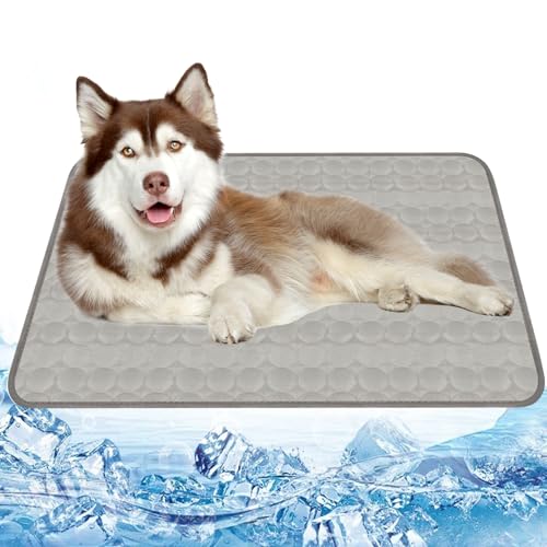 Kühlmatte für Hunde, Kühldecke Katze 100x70cm, Hundematten Sommer Kühlkissen, Haustier Hundematte für Zuhause Unterwegs Oder im Auto (XL-Grau) von Powmag