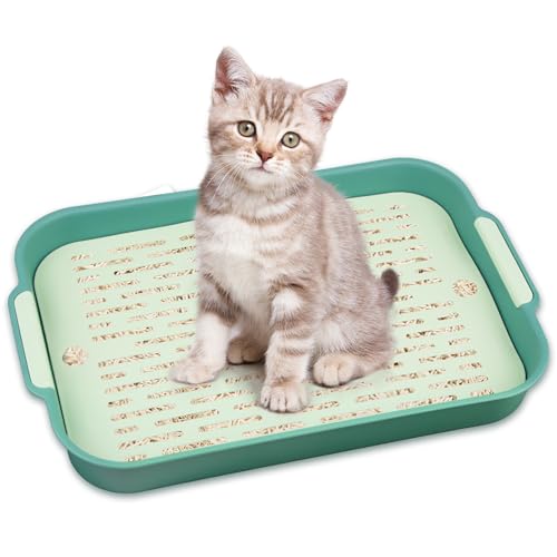 Tablett Hasentoilette, Kaninchen Toilette, Kaninchentoilette, Katzenklo Groß, Klo Ecke für Kleintier Hasen Meerschweinchen (Grün-Groß) von Powmag