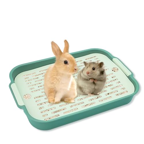 Tablett Hasentoilette, Kaninchen Toilette, Kaninchentoilette, Katzenklo Klein, Klo Ecke für Kleintier Hasen Meerschweinchen (Grün-Klein) von Powmag