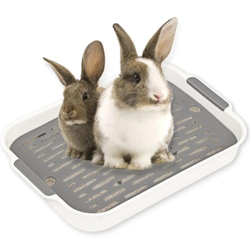 Tablett Hasentoilette, Kaninchen Toilette, Kaninchentoilette, Katzenklo Groß, Klo Ecke für Kleintier Hasen Meerschweinchen (Weißes Grau-Groß) von Powmag
