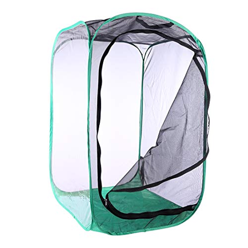 Poxl Insekt Und Schmetterling Habitat Käfig Schwarzes Netz Green Edge Faltbare Schutz Käfig Terrarium Pop-Up von Poxl