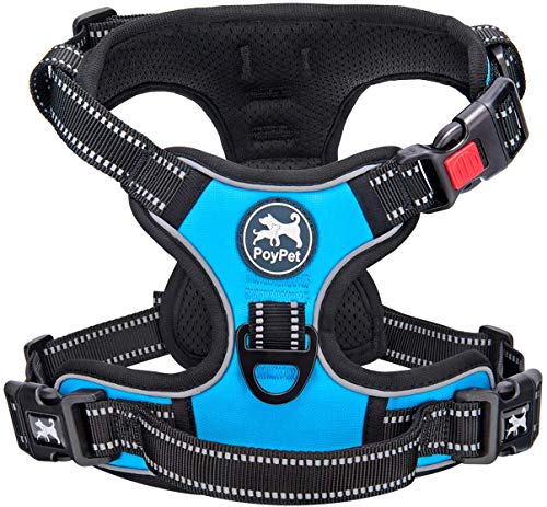 PoyPet Keine Pull Hundegeschirr Front Reflektierende Pet Weste für Hunde mit Einfache Kontrolle Griff und Rückseite perfekt für den täglichen Training, Walken, Running(Blau,S) von PoyPet