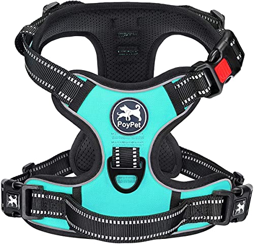 PoyPet Keine Pull Hundegeschirr Front Reflektierende Pet Weste für Hunde mit Einfache Kontrolle Griff und Rückseite perfekt für den täglichen Training, Walken, Running(Mint Blau,M) von PoyPet