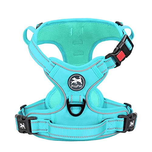 PoyPet Keine Pull Hundegeschirr, Reflektierendes Hundegeschirr für Hunde ohne Choke, Verstellbare, weich gepolsterte Haustierweste mit Easy Control-Griff für kleine bis große Hunde(Mint Blau,XS) von PoyPet