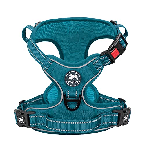 PoyPet Keine Pull Hundegeschirr, Reflektierendes Hundegeschirr für Hunde ohne Choke, Verstellbare, weich gepolsterte Haustierweste mit Easy Control-Griff für kleine bis große Hunde(Tumalo Teal,XS) von PoyPet