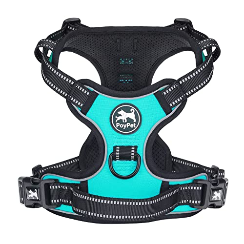 PoyPet No Pull Hundegeschirr, reflektierendes Westengeschirr mit 2 Leinenbefestigungen und einfachem Steuergriff für kleine mittelgroße Hunde (Mint Blau, XS (1er Pack)) von PoyPet