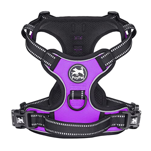 PoyPet No Pull Hundegeschirr, reflektierendes Westengeschirr mit 2 Leinenbefestigungen und einfachem Steuergriff für kleine mittelgroße Hunde (Violett, S (1er Pack)) von PoyPet