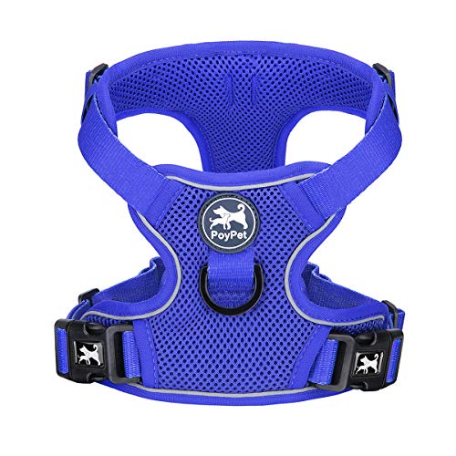 PoyPet Reflektierendes, weiches, atmungsaktives Hundegeschirr aus Mesh, erstickungsfreie, doppelt gepolsterte Weste mit verstellbarem Hals und Brust(Königsblau,L) von PoyPet