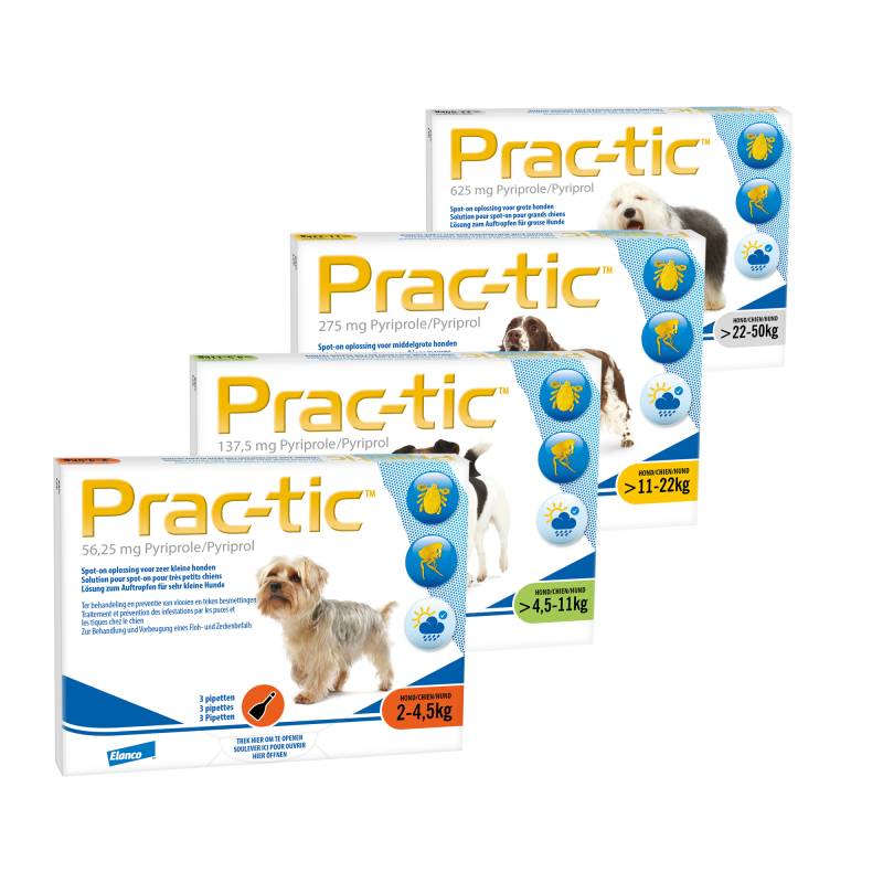 Prac-tic L - 22 - 50 kg - 3 Pipetten von Prac-tic