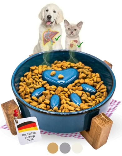 NEU PractiCasa, Antischlingnapf Hunde und Katzen | Schlingnapf Hunde aus Keramik rutschfest 450ml | Gesundes Essen für Hunde & Katzen mit dem Anti Schling Napf Hund | Slow Feeder Hund (blau) von PractiCasa