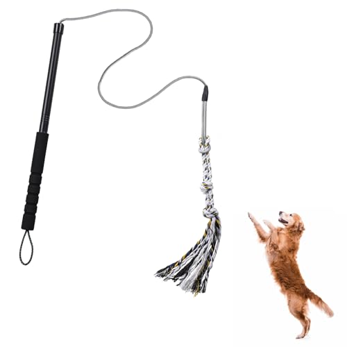 Pragmatist Flirtstange für Hunde, abnehmbare Hunde-Flirtstange, strapazierfähig, stabiles Haustierspielzeug für Outdoor-Übungen und Training, langlebiger Teaser-Zauberstab, interaktives Kauspielzeug Pragmatist Flirtstange für Hunde, abnehmbare Hunde-Flirtstange, strapazierfähig, stabiles Haustierspielzeug für Outdoor-Übungen und Training, langlebiger Teaser-Zauberstab, interaktives Kauspielzeug von Pragmatist