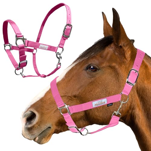 Prairie Horse Supply Pferdehalfter aus Nylon, Rosa – 2,5 cm breit, Pferdehalfter verstellbar, Pferdegeschirr, Pony-Halfter, Pferdeausrüstung und Zubehör – ideal für den Reitsport von Prairie Horse Supply