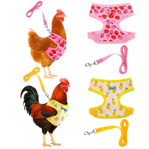 2-teiliges verstellbares Hühner-Geschirr und Leine, bequeme Hühnerweste, elastische Henne-Weste mit Erdbeer-Ananas-Druck für kleine Haustiere, Ente, Gans, Henne, Training, Spazierengehen 2-teiliges verstellbares Hühner-Geschirr und Leine, bequeme Hühnerweste, elastische Henne-Weste mit Erdbeer-Ananas-Druck für kleine Haustiere, Ente, Gans, Henne, Training, Spazierengehen von Prasacco
