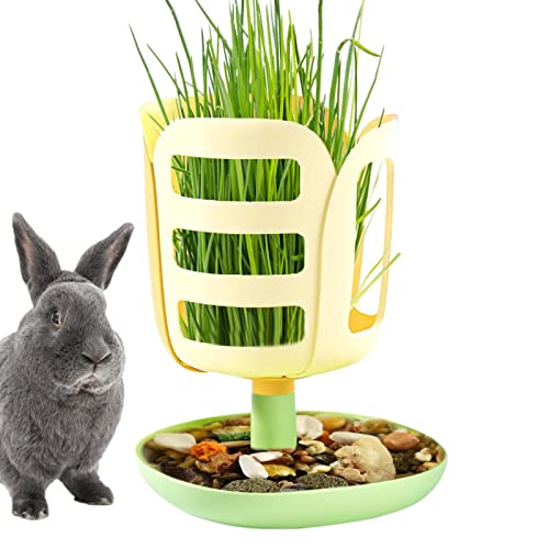 Hasenheuhalter - 2-in-1-Kaninchen-Grasständer mit großem Fassungsvermögen,Haustier-Selbstfütterung, Heumanagement-Grashalter für Kaninchen und andere Kleintiere Pratvider von Pratvider