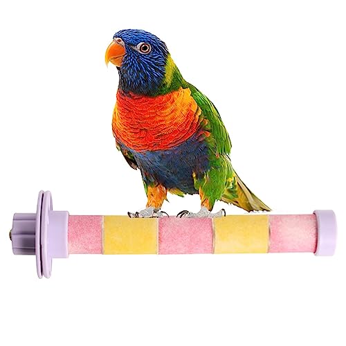 Vogelständer-Spielzeug | Frosted Parrot Standing Pole | Sicheres und gesundes Übungsspielzeug für Sittiche, Wellensittiche, Turteltauben, mittelgroße Papageien und Nymphensittiche Pratvider von Pratvider