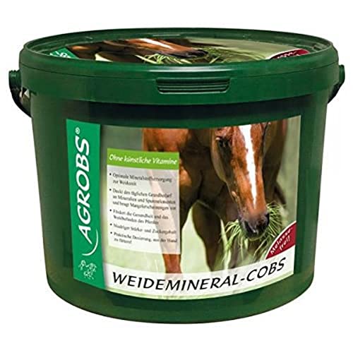 Agrobs Weidemineral-Cobs, 1er Pack (1 x 25000 g) von Agrobs