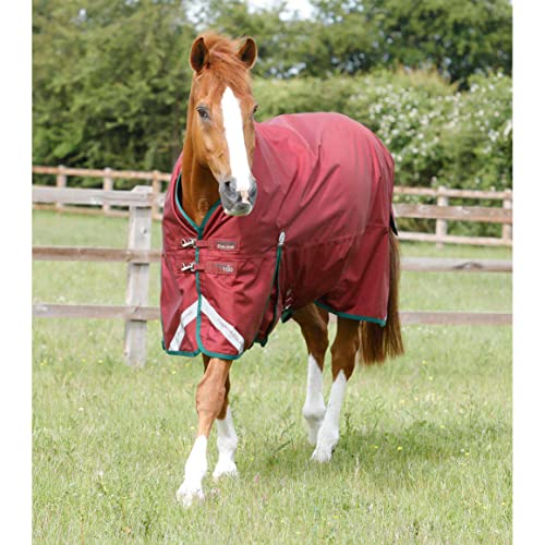 Outdoor-Decke für Pferde Premier Equine Titan 100 g von Premier Equine