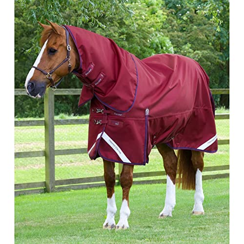 Outdoor-Decke für Pferde mit Halsabdeckung Premier Equine Titan 50 g von Premier Equine