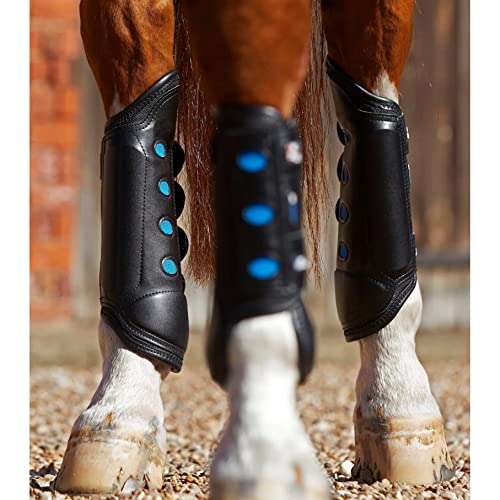 Premier Equine Air-Cooled Eventing Gamaschen Hind Premier Equine Air-Cooled Eventing Gamaschen Hind von Premier Equine